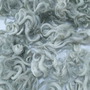 May include: Close-up of a pile of light gray, curly wool fibers. The fibers are densely packed, with varying textures and thicknesses. The curls range from tight ringlets to loose waves, creating a soft, textured appearance. The wool appears to be clean and ready for use.