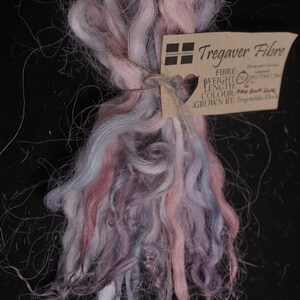 May include: A bundle of Tregaver Fibre in shades of pink, lilac, and blue, tied with twine. The fiber has a soft, wavy texture. A small tag with the text "Tregaver Fibre" is attached. The fiber is 6 inches long.
