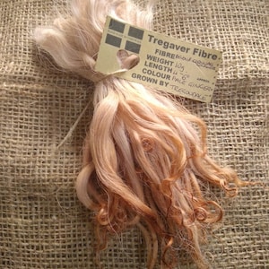 May include: A bundle of pale ginger Tregaver Fibre, weighing 10 grams and measuring 4 to 6 inches in length. The fibre is hand-made in Cornwall, UK.