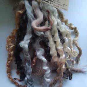 14g curly wool ringlets NATURALS mix, ethically farmed, felting, fibre art, dolls. Budget bunch - Imperfect but great for small projects
