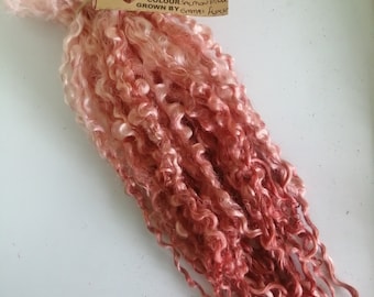 salmon pink/orange teeswater curly wool locks, 10-12&quot;, perfect for felting, doll hair, fibre arts 28g (1oz) or 14g (1/2 oz)