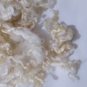 Natural undyed curly wool, 10g, wensleydale lamb locks and fibre, 100% hand processed, separated & well washed, crafting projects, felting.