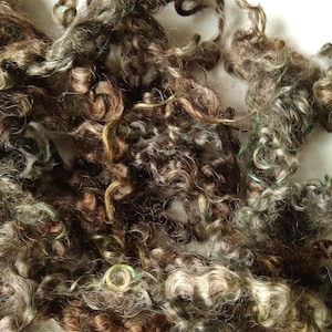 black brown blue/teal/mint  loose wensleydale curly wool and locks 10g ethically farmed,  for felting, fibre art, dolls and other crafts