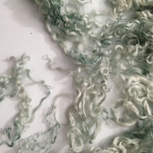 May include: A pile of light green and white curly wool fibers. The wool is soft and fluffy, and it would be perfect for spinning or felting.
