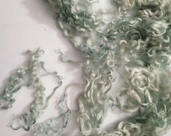 Silver / green curly wool, whitewater (teeswater x white faced dartmoor) loose fibre ethically farmed, 10g, for hair, doll making/felting