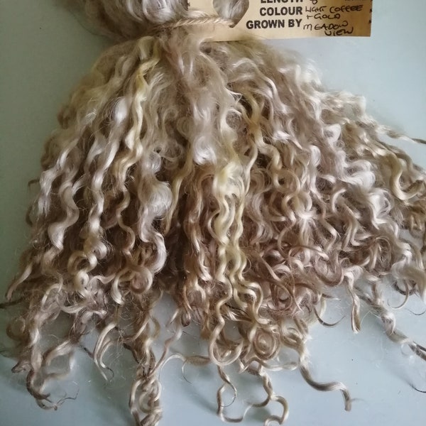 curly wool locks, hand processed, light coffee with golden tones, teeswater locks, 28g(1oz) or 14g (1/2 oz) felting, doll hair,