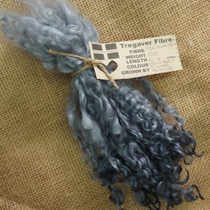 May include: A bundle of blue-grey wool fibre, tied with twine. A label attached to the bundle reads "Tregaver Fibre", "Fibre: Teeswater", "Weight: 10g", "Length: 6-8", "Colour: Steel", "Grown by: Ankothy".