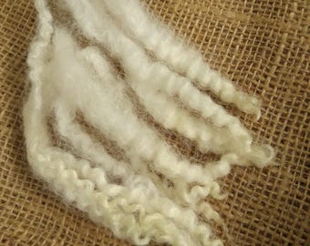 Blue Faced Leicester x Swaledale sheep wool locks and loose locks, natural undyed cream,.  10g , approx 6" in length, felting