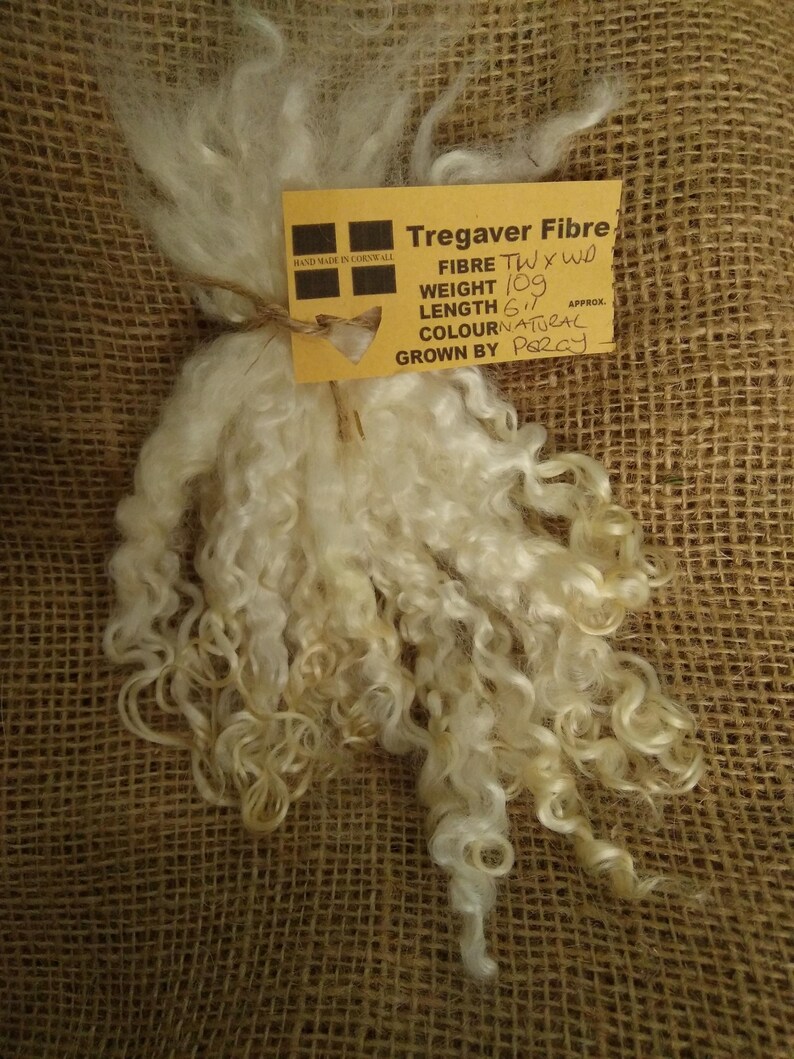 Natural Undyed Curly Wool Locks, v Teeswater X Wensleydale 6 10g Doll