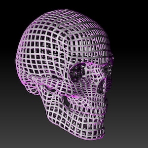 Skull - A wire mesh skull.