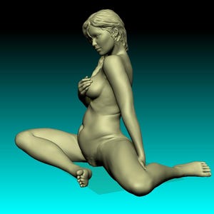 Aarwun - Sexy female figurine ready for 3D printing. Instant download