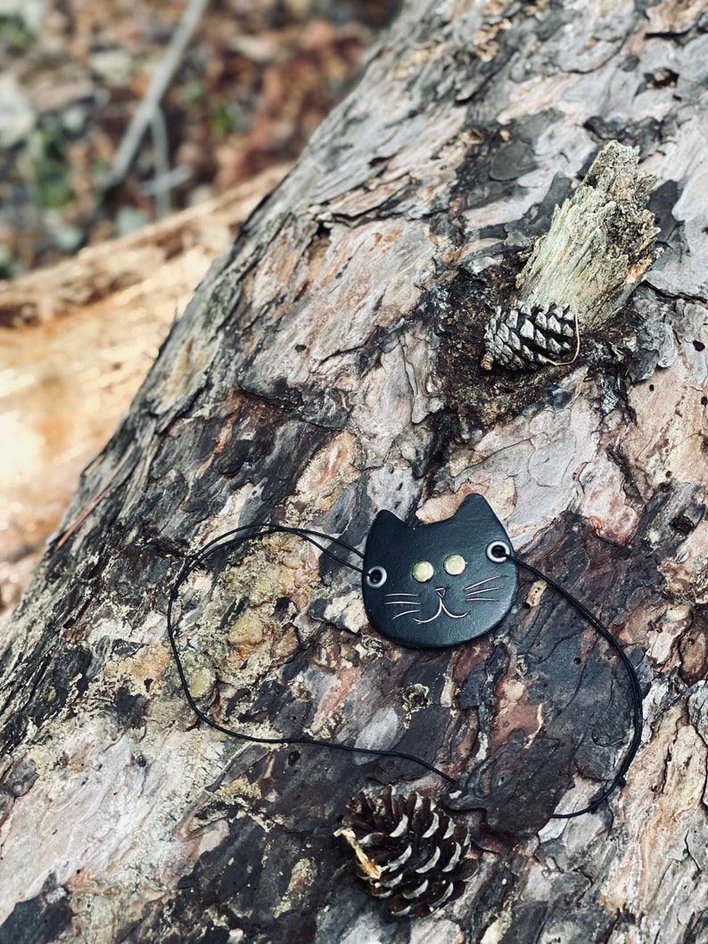 May include: Black leather cat face charm with gold eyes and a black cord. The charm is on a tree trunk with pine cones.