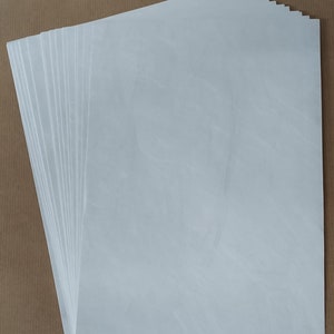 Fogli stile carta Tyvek 75 gsm 1073D - 20 fogli - (più formati)