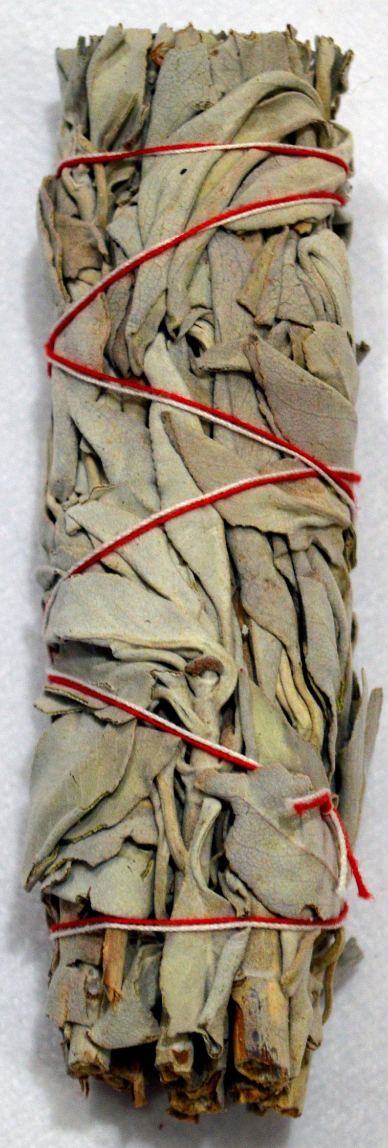 Small Dried White Sage Bundle image 1