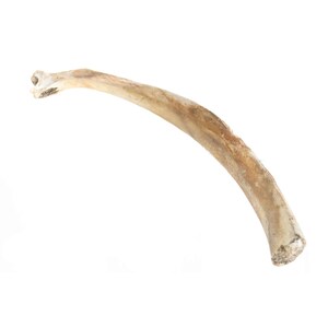 403-10 10UB1 Real Water Buffalo Rib