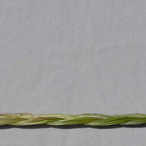 Sweetgrass Braid