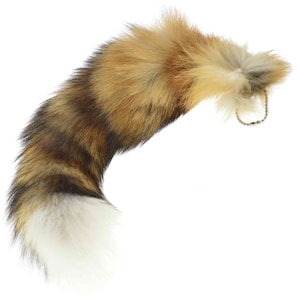 Red Fox Tail