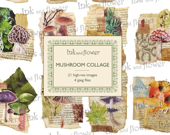 Mushroom collage art. Instant download, digital file of 21 mushroom collages.