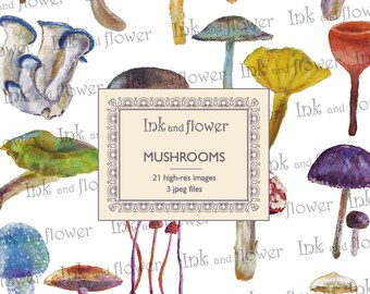 Mushroom art. Instant download, digital file of 21 mushrooms painted with acrylic paints. BONUS: faux stamps