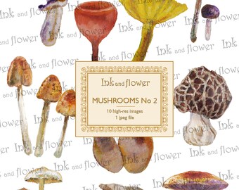 Mushroom art No 2. Instant download, digital file of 10 mushrooms painted with acrylic paints.