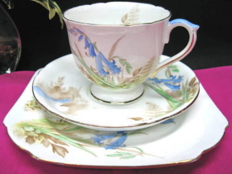 Shelley Tea Cup and Saucer Bluebells Pattern Teacup Painted Etsy