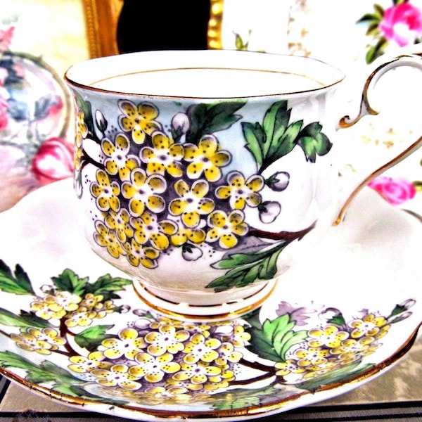 Royal Albert Tea Cup and Saucer FOTM Hawthorn Pattern Pretty Painted Teacup Set