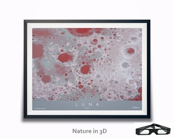 May include: A framed abstract art print with a gray and red color scheme. The print features a textured, organic pattern reminiscent of the surface of the moon. The title of the print is "LUNA Sol" and the artist's name is "Ahetes".