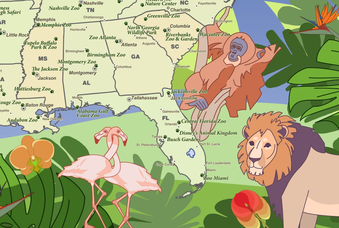 Top Zoos in the US Map - Best Zoos Across America - Animal and Wildlife