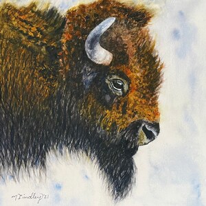 SALE! Watercolor Buffalo. Bison Art. Buffalo Art. Fine Art Print. Giclee’ Print. Watercolor Bison. Watercolor Original Art.