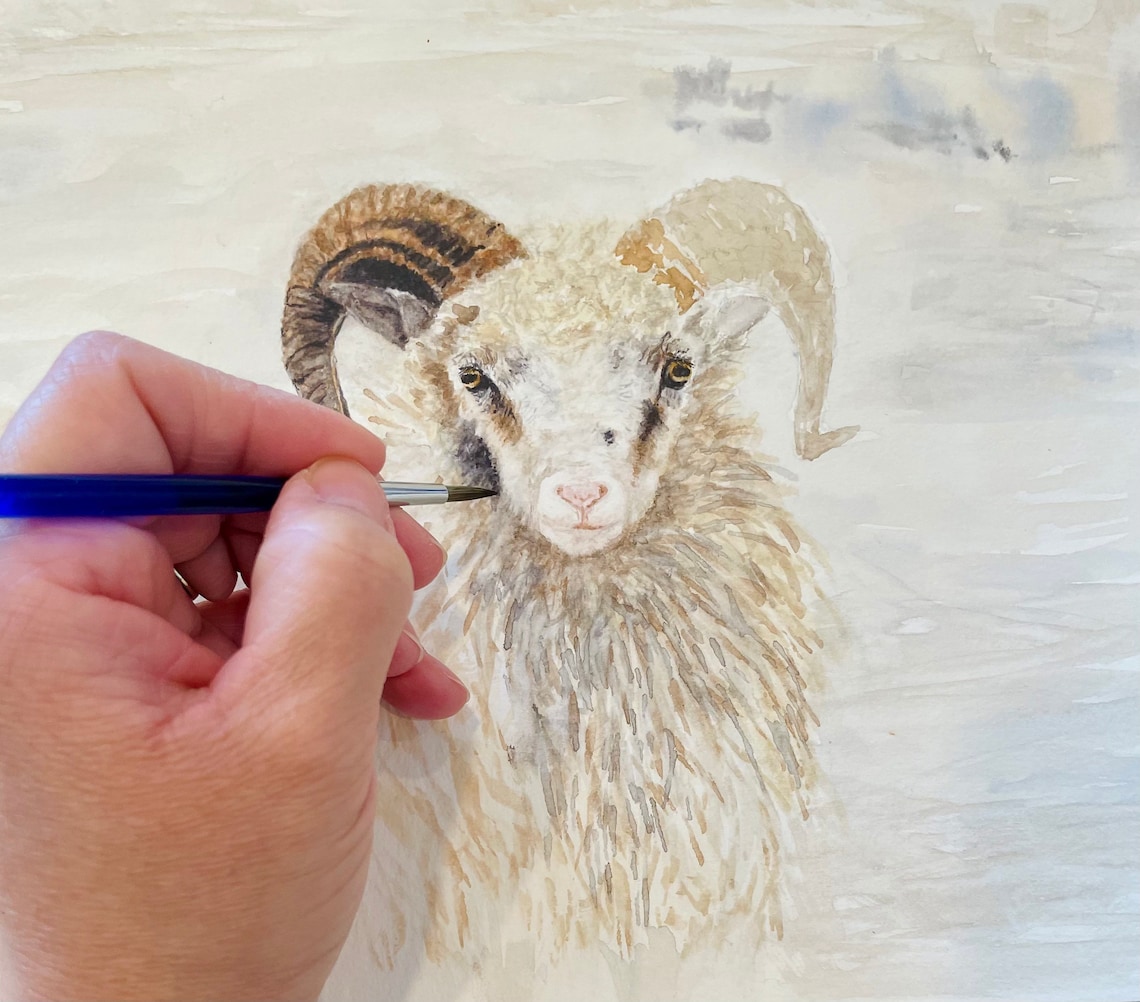 Watercolor Sheep Painting. 14x11in. Original Art. Sheep Art. Etsy