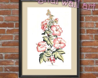 Botanical Illustration, Digital Flower Image, Retro Flower Illustration, Antique Flower, 090