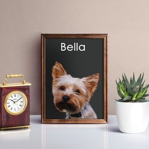 Custom Pet Portrait from Photo, Custom Kitty Portrait, Personalized Pet Dog Wall, Puppy Portrait, Custom Pet Drawings, DIGITAL FILE ONLY.