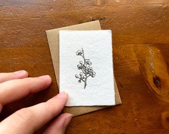 Tiny Gumnuts handmade paper gift tag, botanical art card of Australian natives. Line drawing illustration. Note card.