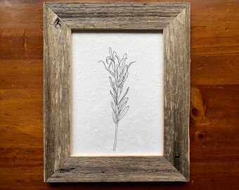 Leaves FRAMED print by Cliffwatcher, printed on recycled handmade paper, framed with recycled timber.