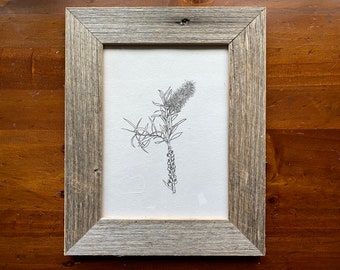 Bottlebrush FRAMED print by Cliffwatcher, printed on recycled handmade paper, framed with recycled timber. Australian natives.