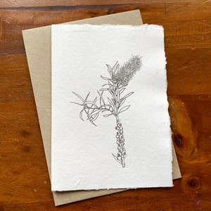 Australian botanical art card with Bottlebrush. Recycled handmade paper. Eco friendly card. Card for nature lover. image 1