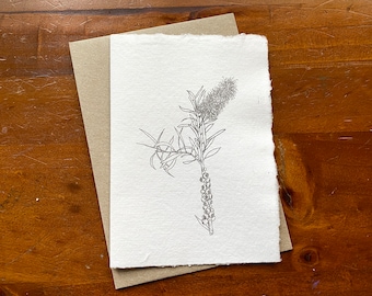 Australian botanical art card with Bottlebrush. Recycled handmade paper. Eco friendly card. Card for nature lover.