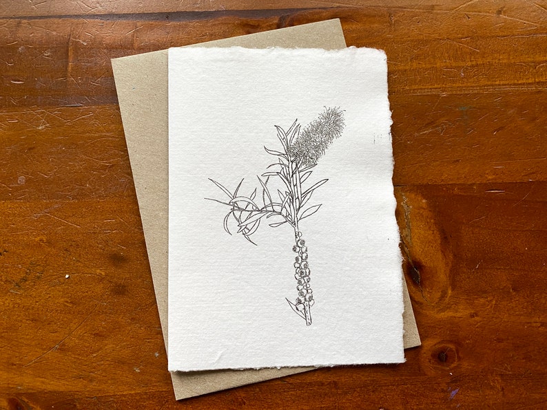 Australian botanical art card with Bottlebrush. Recycled handmade paper. Eco friendly card. Card for nature lover. image 1