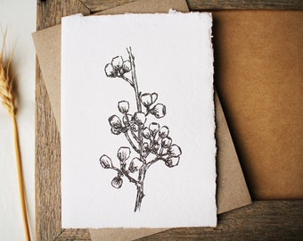 Gumnuts handmade paper card, botanical art card, Australian natives, recycled envelope greeting card, note card, blank inside.