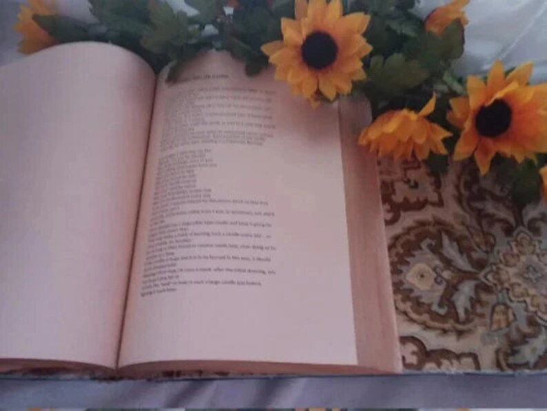 Pu&ograve; includere: Un libro aperto con testo sulla pagina destra e una pagina sinistra vuota. Girasoli gialli e foglie verdi circondano il libro. Le pagine del libro sono di colore pesca chiaro.