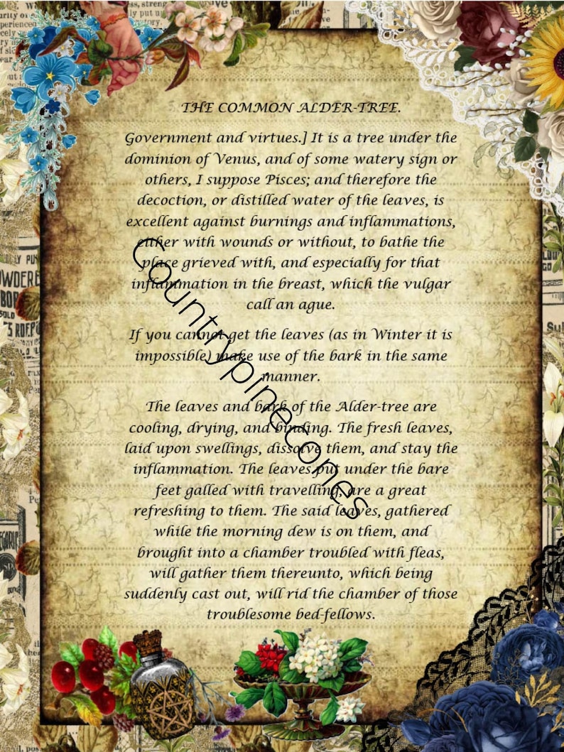 Pu&ograve; includere: Una stampa in stile vintage con bordi floreali e in pizzo presenta un testo sulle propriet&agrave; dell'ontano. La carta invecchiata presenta elementi decorativi, tra cui fiori, bacche e un flacone di profumo. Il testo &egrave; in inglese antico.