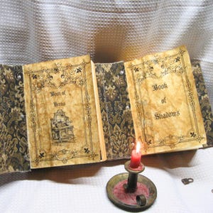 Double book Practical magick style Black Leather Journal printable removeable pages image 4
