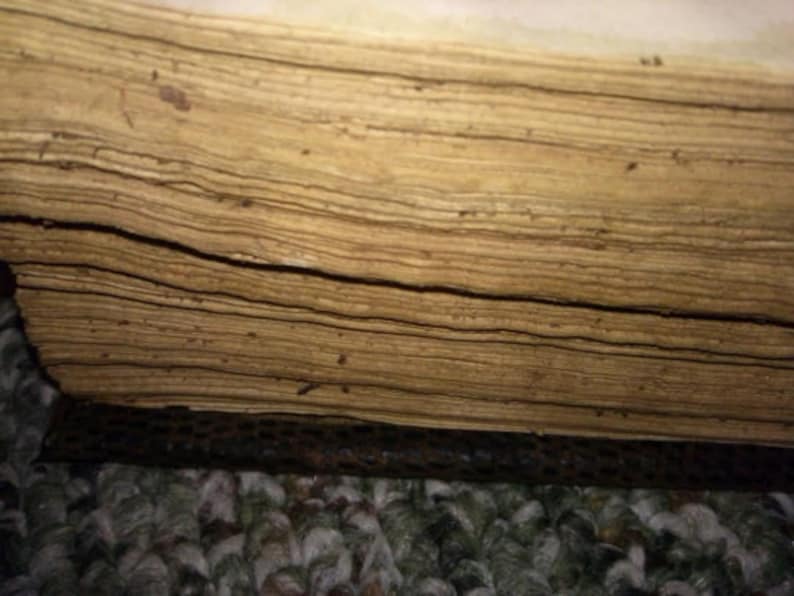 Ahh the gorgeouse antiqued tea-leaf stained edges