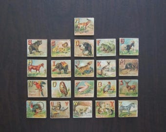 Antique Victorian Alphabet Letter & Animal Litho Wooden Picture Blocks - Vintage 2 Sided Child&#39;s Learning Blocks - Antique Collectible Toy