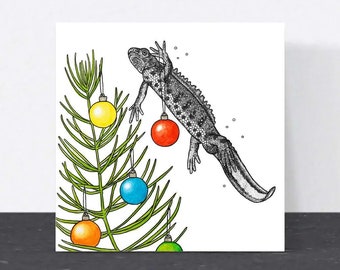 Newt Christmas card // animal art, great crested newt British wildlife card for ecologists, gardeners and wildlife lovers, blank, eco card