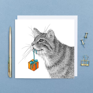 Carte d'anniversaire drôle de chat//art animalier de chat sauvage écossais, cartes pour elle, cartes pour lui, carte d'anniversaire écologique pour l'amant de chat