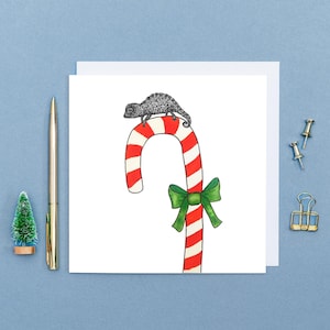 Jolie carte de Noël caméléon // Cartes de Noël animaux mignonnes // Art animalier caméléon pygmée, carte animalier // Cartes de Noël écologiques