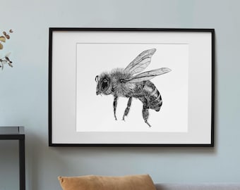 Black and White Honey Bee Art Print // A4 bee wall art, animal pen drawing, wildlife lover gifts // Hallway art, Art for entryway