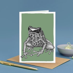 Carton de correspondance fléchettes grenouilles // Cartes d'art animalier // Cartes de correspondance écologiques // Carte de correspondance vierge sur la faune