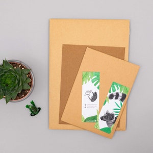 Pu&ograve; includere: Una collezione di articoli di cancelleria, tra cui buste marroni e segnalibri. I segnalibri presentano illustrazioni di un lemure e di un rinoceronte con il testo "Wild Lines". Sono presenti anche una piccola pianta grassa in vaso e una statuina di rana verde.